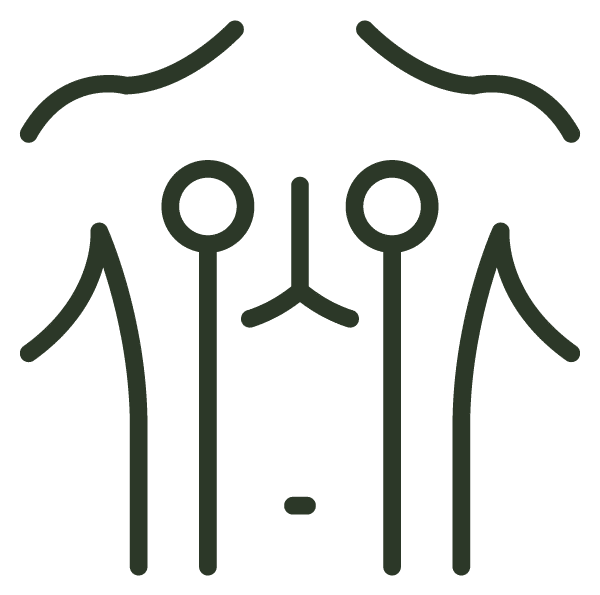 Neuromodulación